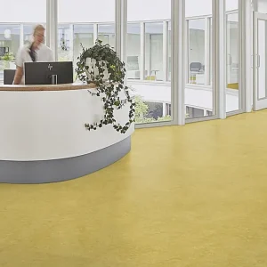 Forbo Marmoleum Fresco | 3259 mustard Preis Gesenkt